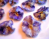 Candied Flowers, Edible Violas, Cupcake Toppers, Weddings