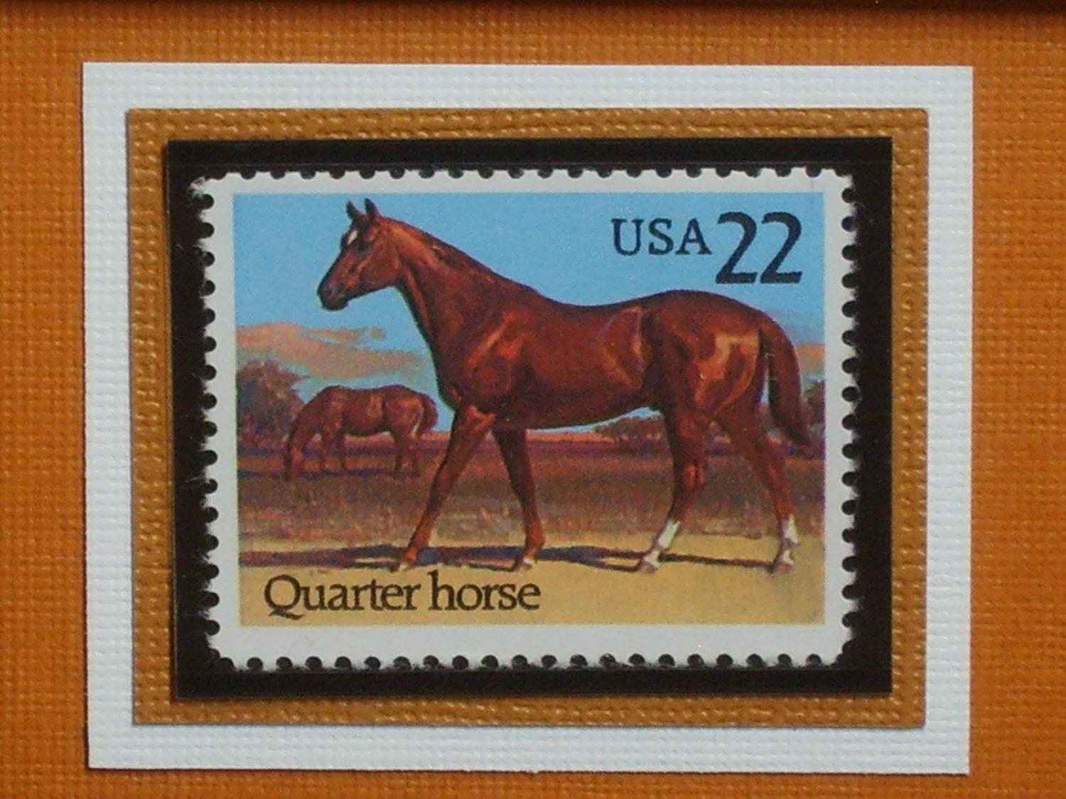 Vintage Framed Stamp American Horses The Quarter Horse