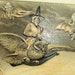 Rare John Winsch Halloween postcard, Schmucker design, Witch riding an Owl now on sale