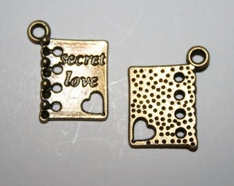 6 Antique Bronze Secret Diary Notebooks 3 D Charms/Pendants - CB - 0031