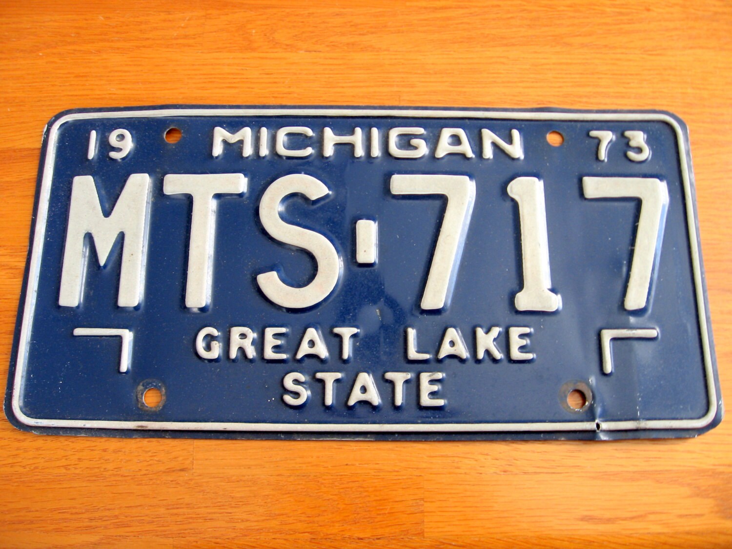 1973 Blue and White Michigan License Plate