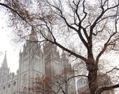 Landscape Photography - Winter In Salt Lake City, Utah - Nature, Winter, Snow, Travel, Temple, Metropolitan, Urban, Fine Art Photography Landscape Photography - Winter In Salt Lake City, Utah - Nature, Winter, Snow, Travel, Temple, Metropolitan, Urban, Fine Art Photography