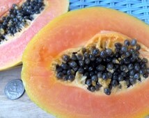 50 Strawberry Sunset Papaya Seeds – Organic Hawaii Grown, Sweet Tropical Fruit, Free Shipping