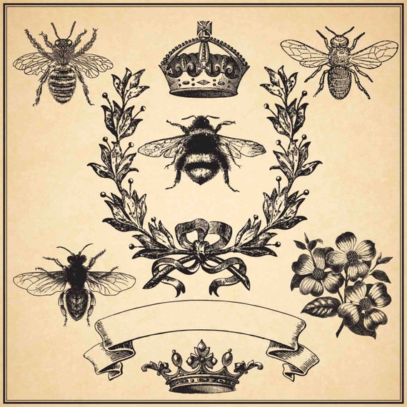 BEE VINTAGE COLLECTION Digital Clip Art Graphics for