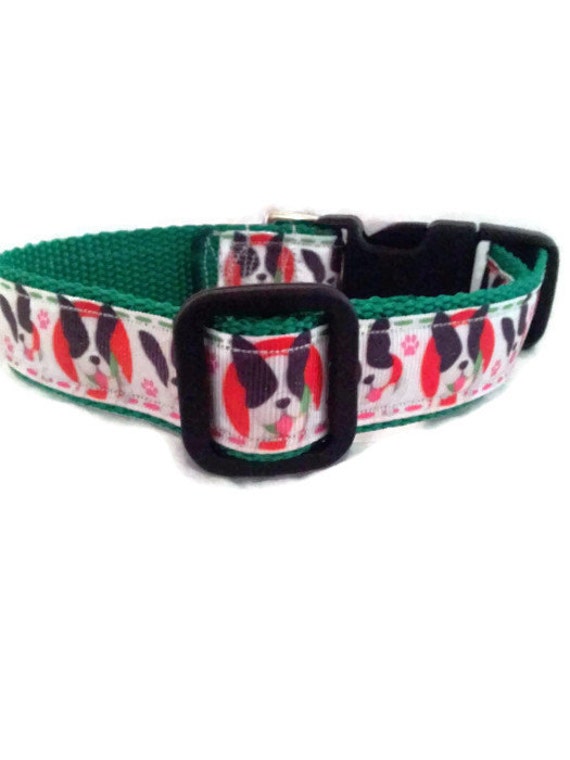 Dog Collar BOSTON TERRIER Adjustable Buckle Collar