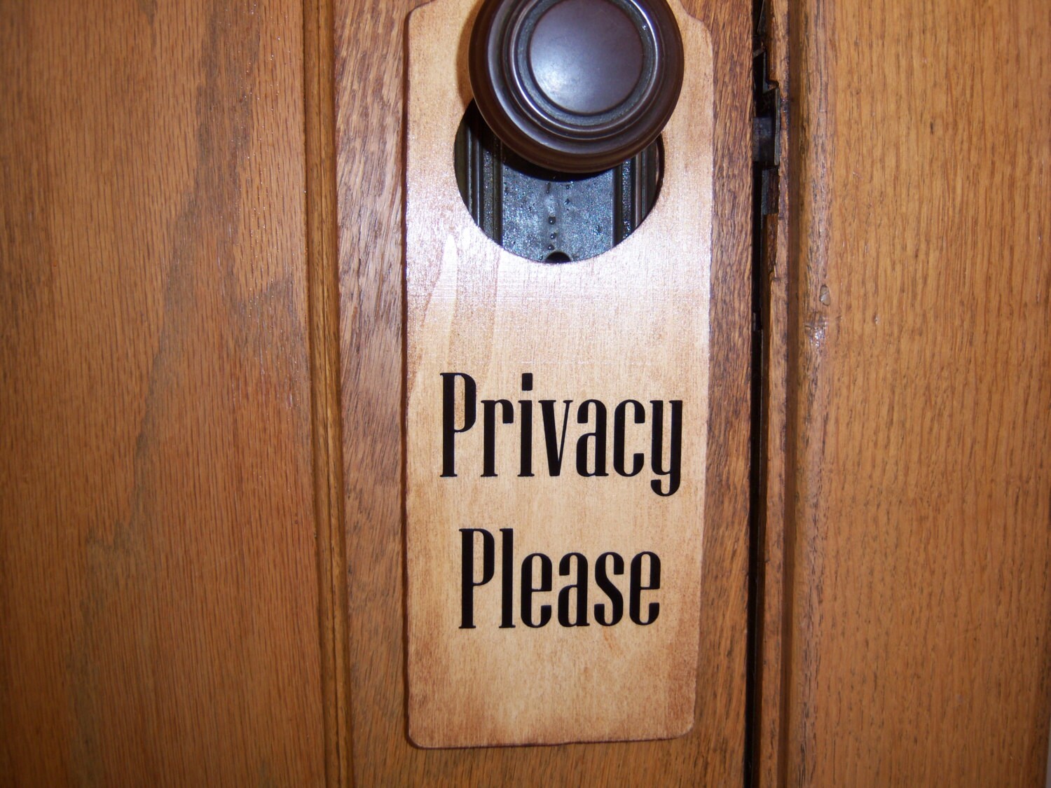 Privacy Please Message on Wooden Door Hanger by NellEvaDesigns