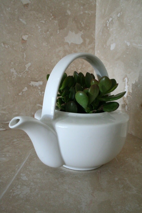 Vintage style ceramic teapot succulent planter