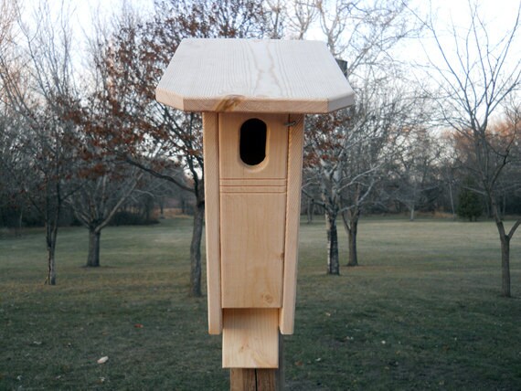 https://www.etsy.com/listing/170558102/bluebird-house-peterson-style-bluebird?ref=listing-shop-header-0