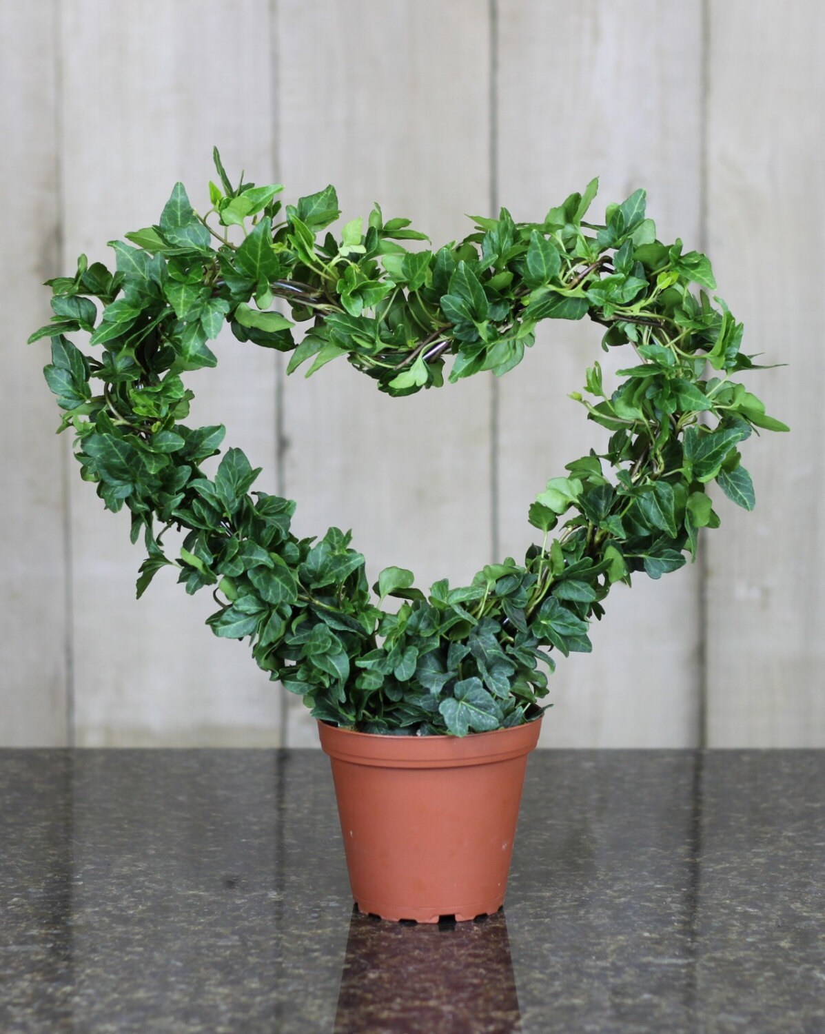 Chandeliers & Pendant Lights