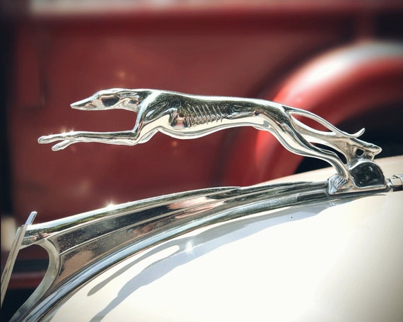 Items similar to Photograph Dog Hood Ornament, Old Car, Automobile