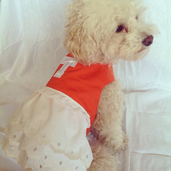 Dog clothes Vols dog cheer dress by LilyBellesDoggieDuds on Etsy
