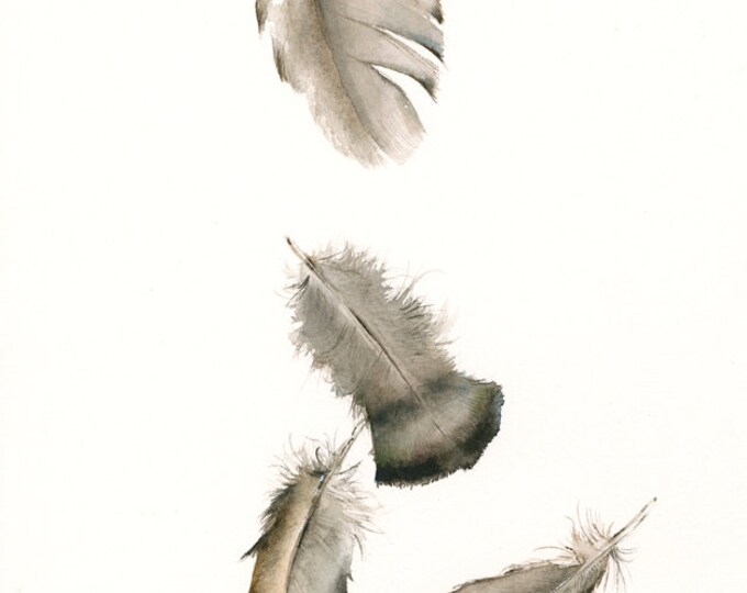 watercolor painting- nature art, feather art,Turkey Feathers No. 2 Archival print