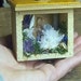 Rock Garden (Mini). Tiny Antique curio Geology collection: Raw Geode, Citrine, Pink Tourmaline, Howlite, Amethyst, Quartz, Blue lace Agate