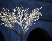 digital download holiday photography: winter tree digital download holiday photography: winter tree