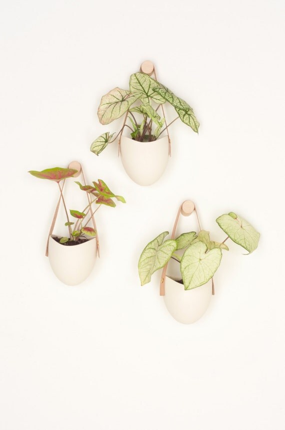 Set of 3 Spora w/ leather + wood hook
