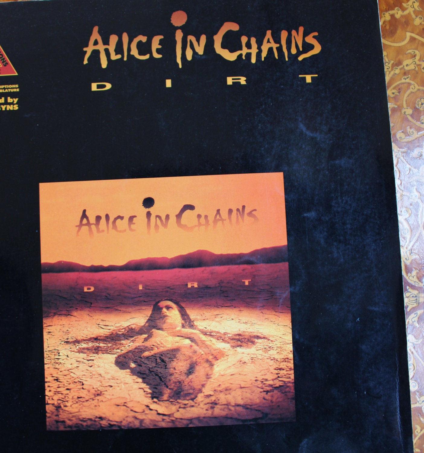 alice in chains dirt album art small
