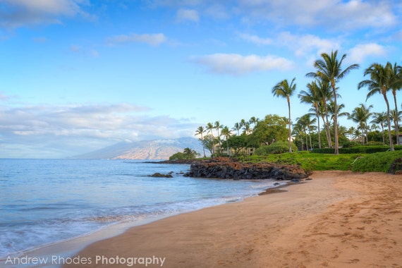 Maui Beach Photography Hawaii Print Grant Wailea Palm