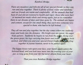 The Story of the Rainbow Bridge Poem, Cat, MALE, Pet Memorial Wall ...