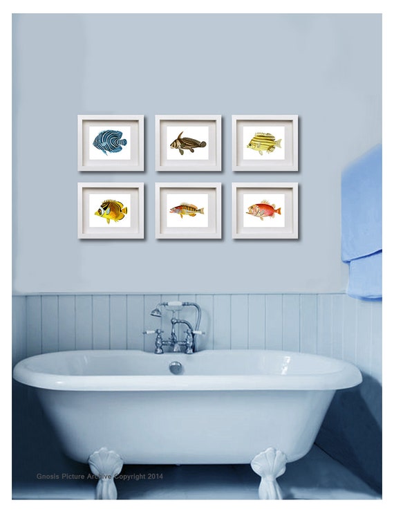 Tropical Fish Decor Antique Fish Prints set of 6 tropical Tropical Fish Decor Antique Fish Prints set of 6 tropical