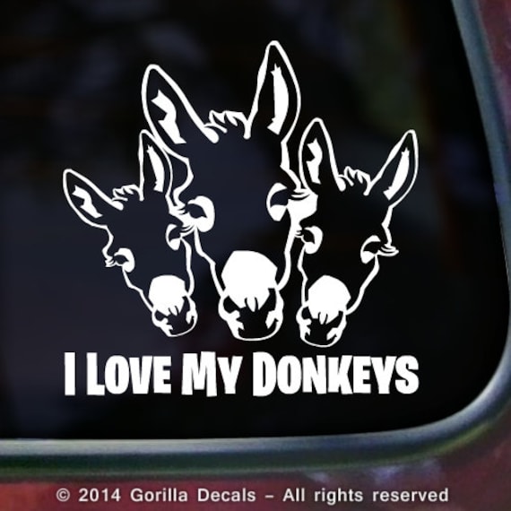 I Love MY DONKEYS Vinyl Decal Bumper Sticker by GorillaDecals