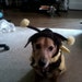 ALILEIGH A