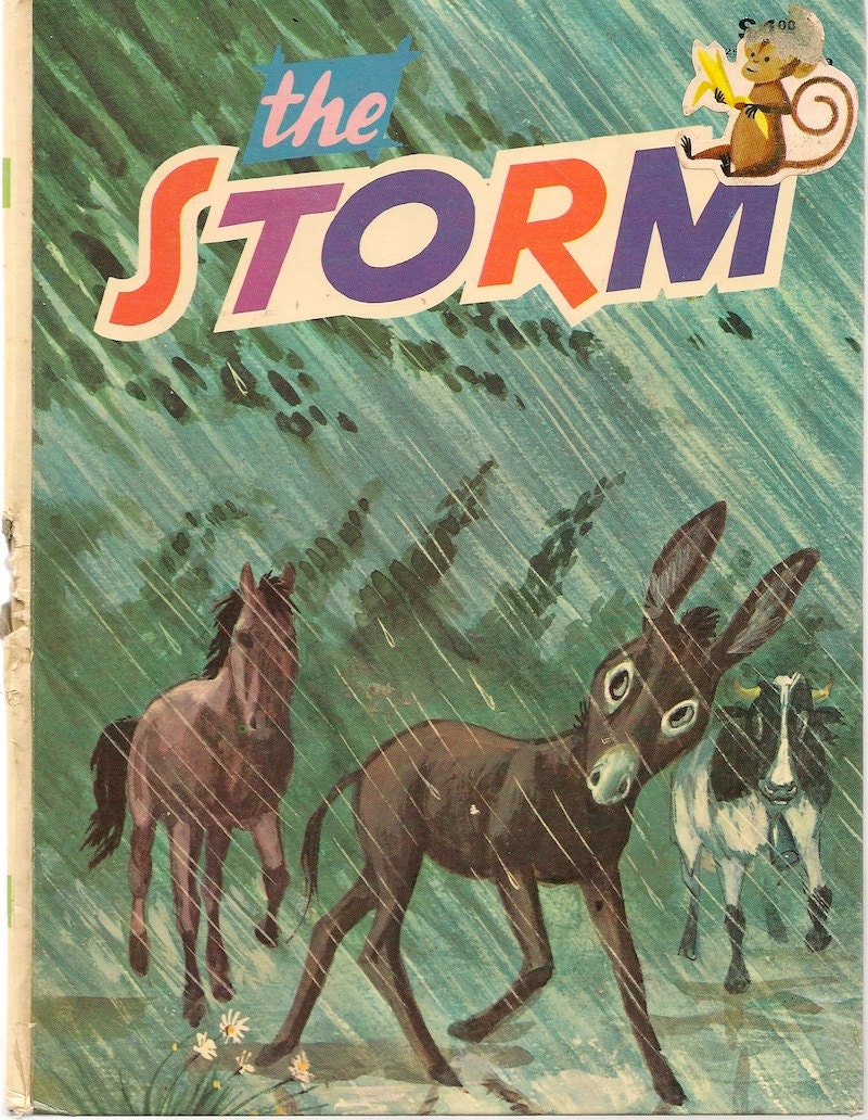 the storm the rain book 2 virginia bergin