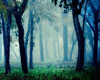 Fairytale - Foggy Woodland Photo - Magical Photography - Blue Mystical Forest - Decorative Print