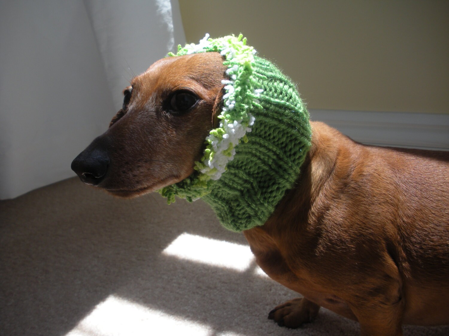 Dog Neck Warmer for Mini Dachshund Doxie Dachshund Knitted