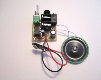 Assembled Kit: Portable Guitar Amp w/ Speaker & 10X Gain