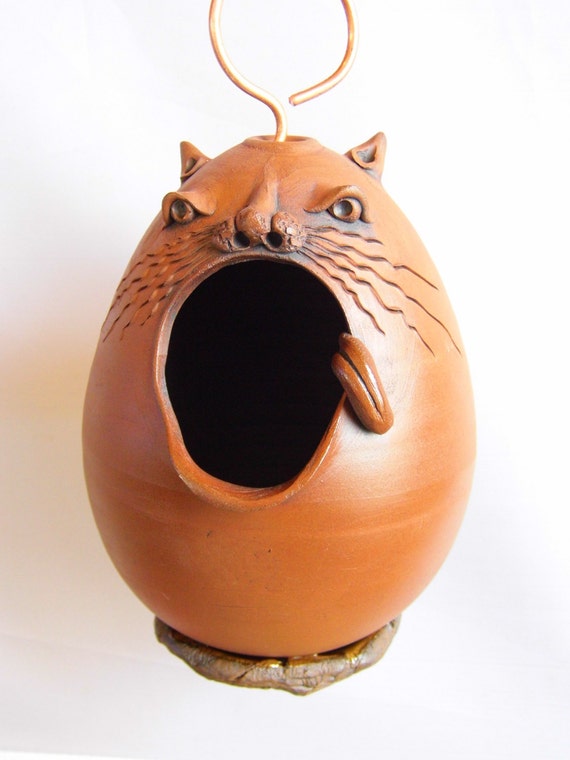 cat bird feeder cat bird feeder