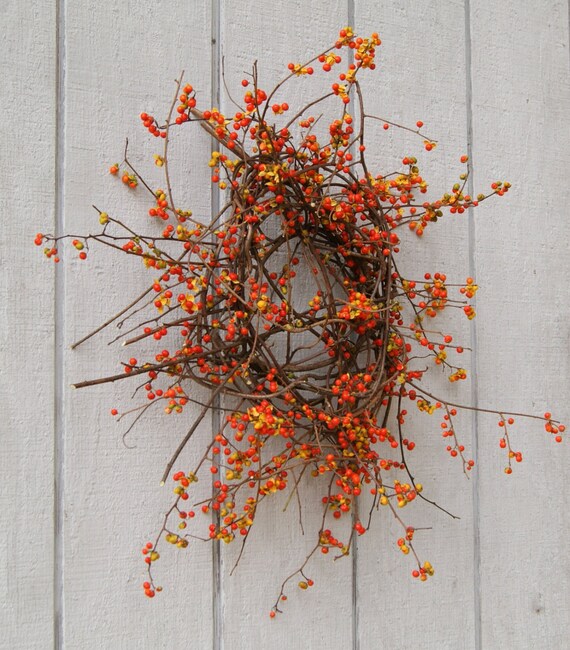 FRESH Bittersweet Wreath Fall Wreath Bittersweet Vine and