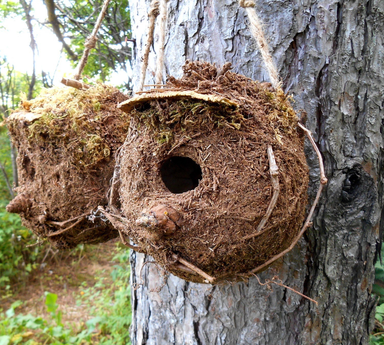 2 Rustic Birdhouses Maine Outdoor woodland bird by bearpawrustics