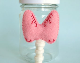 Thyroid in a Jar Anatomical Specimen Medical Decor Anatomy
