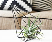 Himmeli Prism no. 2 | Modern Geometric Sculpture | Air Plant Display | Minimalist Home Decor