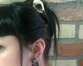 Mini Raven Skull Hair Clip (2.75" Small) Resin Cast Skull Hair Accessory Barrette Crow Goth Bird Skull Gothic