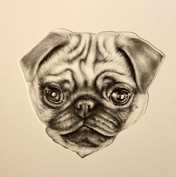 Items similar to Cute Pug Puppy Pencil Drawing Print Hand Signed on Etsy