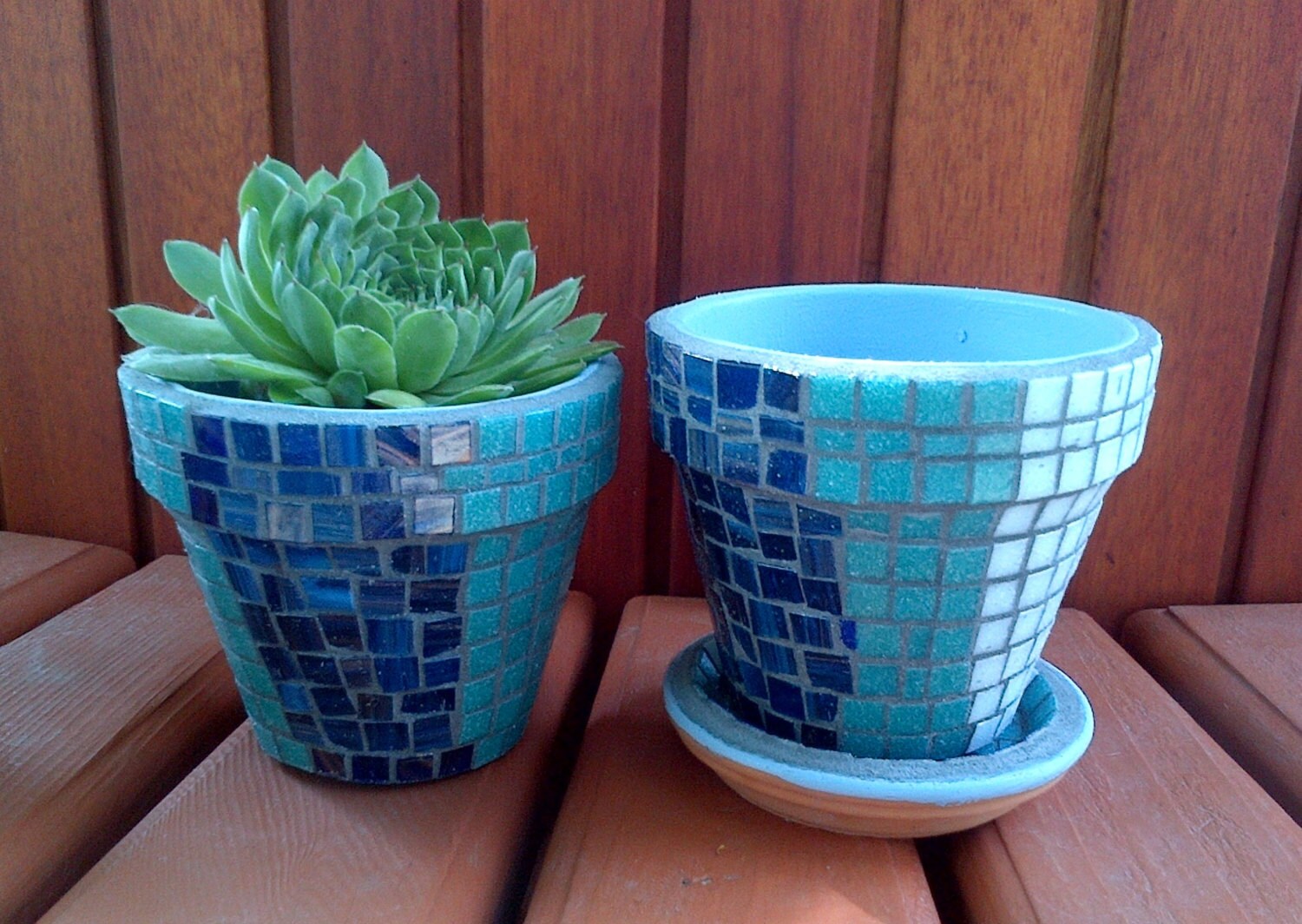 Herb Garden Kit Gift With Tile Mosaic PotsBlue & White or