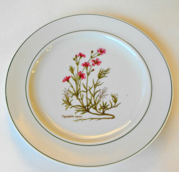 Vintage JKW Bavaria West Germany China Dessert or by bobann23