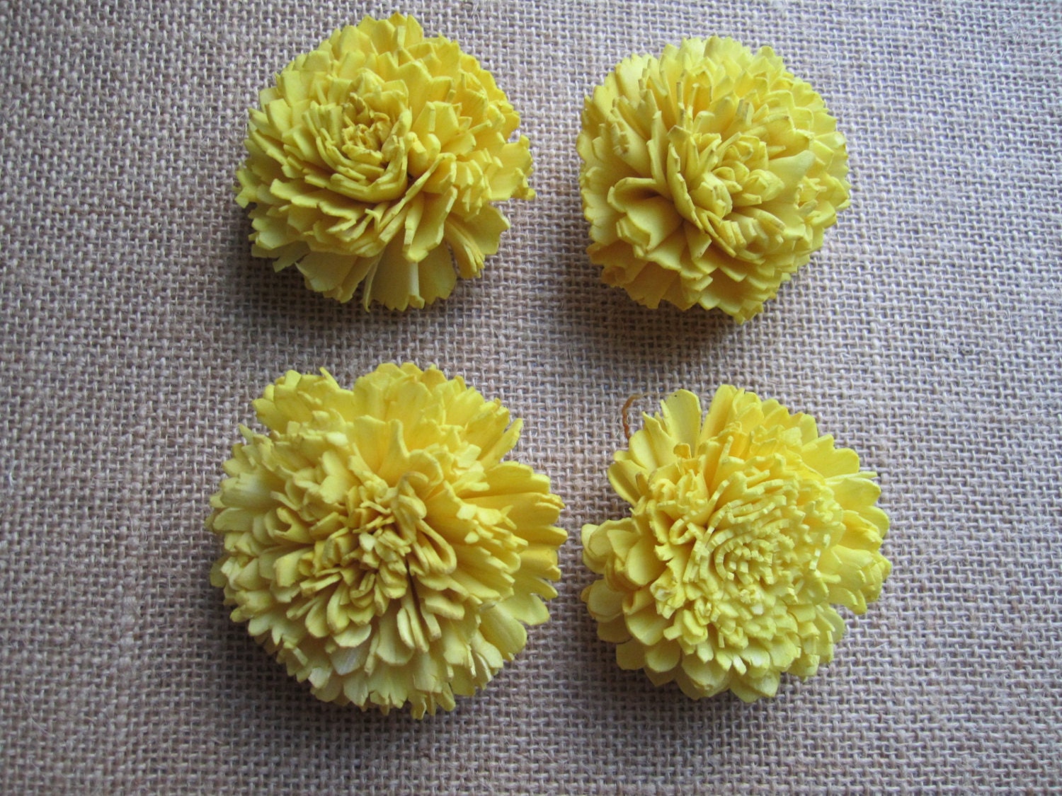 Sola Carnations flowers -- SET of 12 - Yellow from 