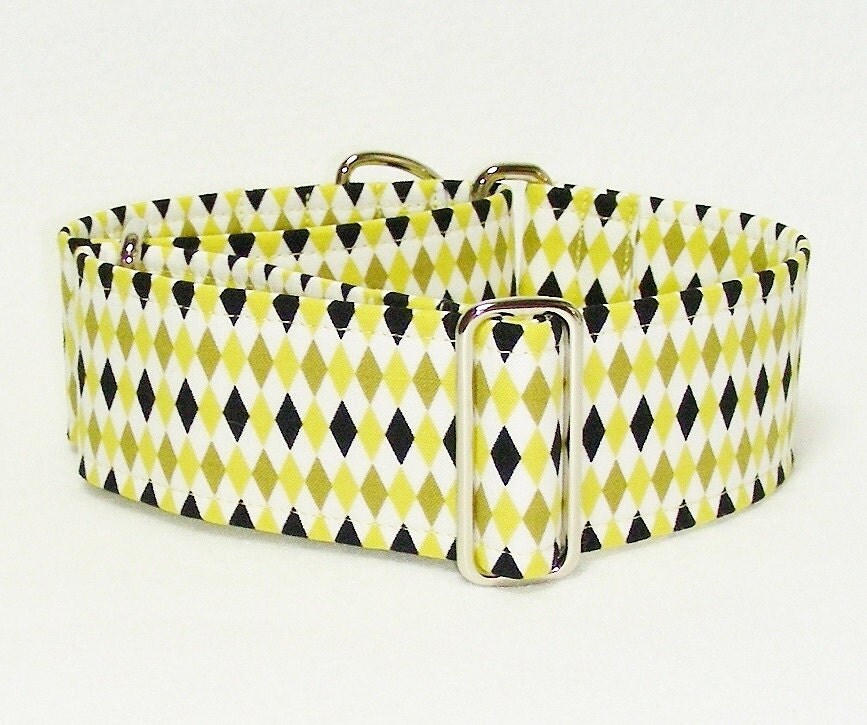 2 Inch Martingale Collar Gold and Black Harlequin Galgo