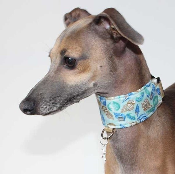 Italian Greyhound Collars Collection by Shadedmoon