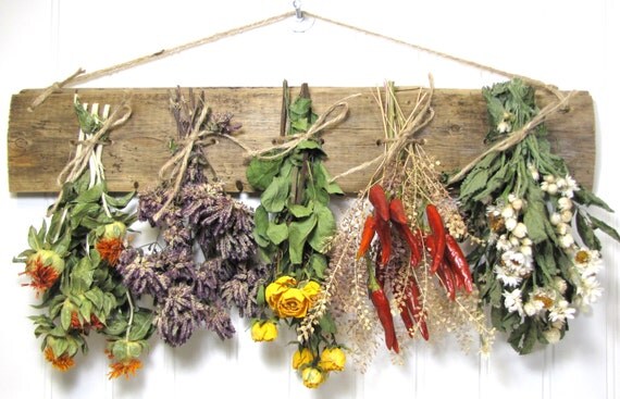 Dried Herb Rack Kitchen Decor Dried Floral By