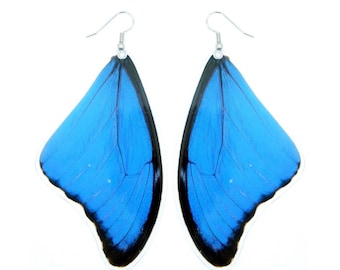 Real Blue Morpho butterfly wing earrings (Large size) - Butterfly Wing Jewelry
