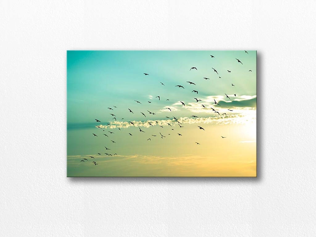 canvas art birds in flight wall art 20x30 birds photography