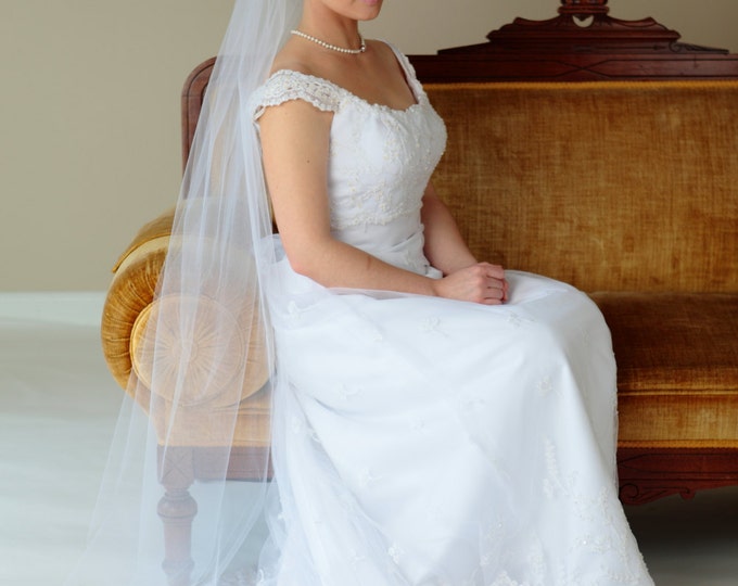 BALLET WALTZ Veil, bridal veil, wedding veil, champagne, ivory, diamond white, dusty rose embellishment, blush color, silk white accessories