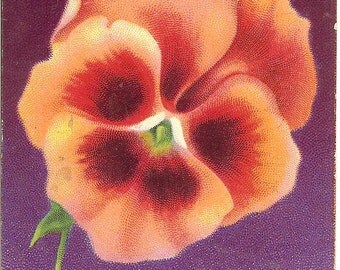 Vintage Best Wishes Pansy Postcard
