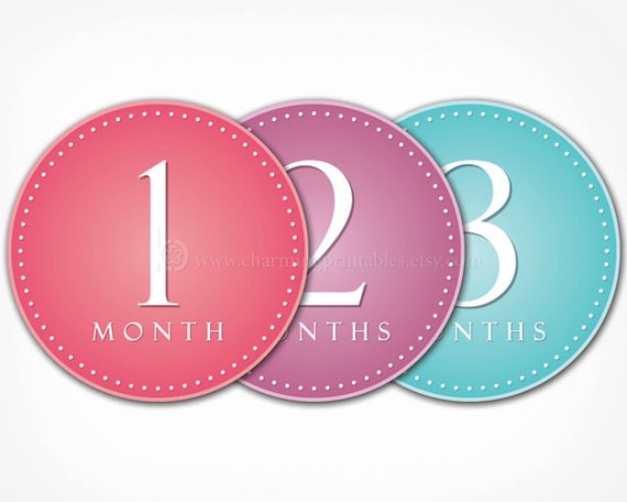 Monthly Stickers for Girls - PRINTABLE DIY - Instant Download - 1 - 12 Month Stickers Labels Pink Purple - Baby Numbers for Photos Il_570xn