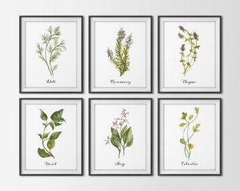 Popular items for watercolor herbs on Etsy