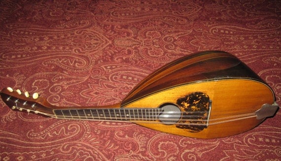 washburn mandolin serial numbers dating