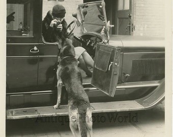 Woman in automobile w camera dog antique movie photo